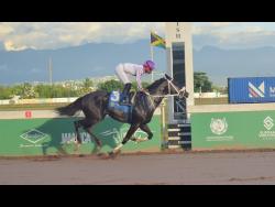 Foster, Anderson dominate Caymanas Park | Sports