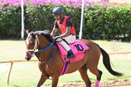 Gold Cup shaping up early