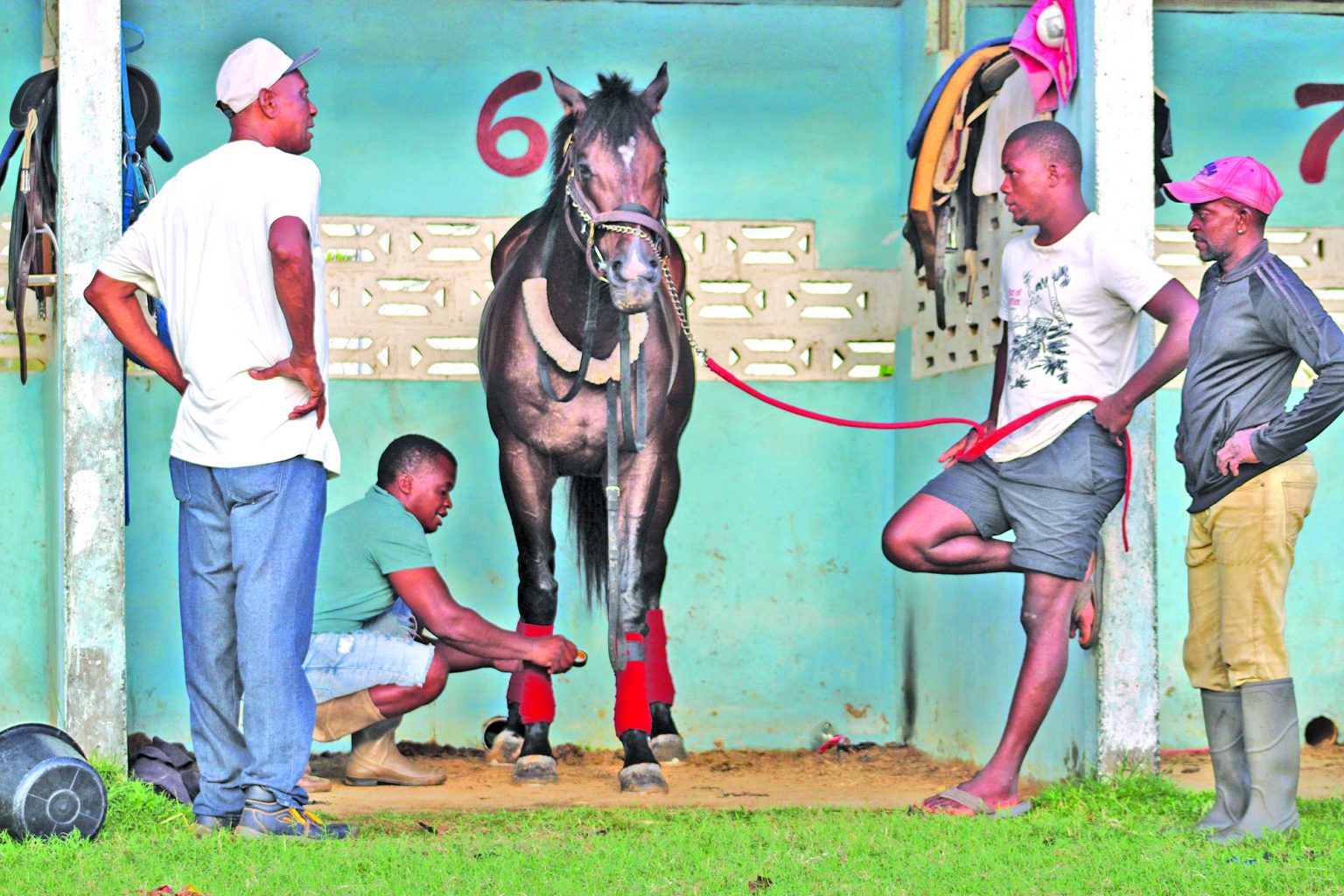 Guyana Cup prep intensifies: Jagdeo Racing Stables confident ahead of Banks Classic