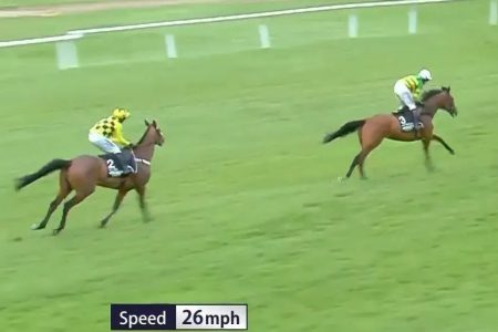 ‘He’ll be coming back’ – Sir Gino update after Nicky Henderson superstar suffered heartbreaking Cheltenham injury