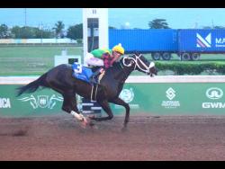 Nautical Star makes mockery of St Catherine Cup | Sports