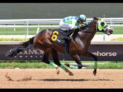 Nautical Star seeks redemption in St Catherine Cup | Sports