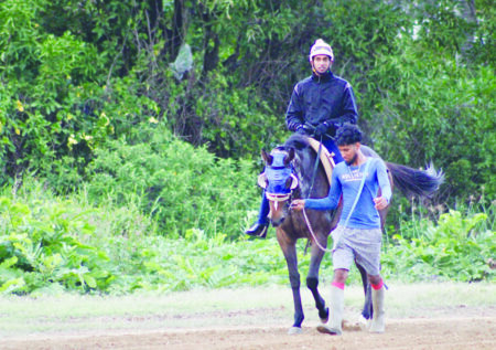 Newly internationally-licensed jockey ready to dominate Guyana’s horse racing Newly internationally-licensed jockey ready to dominate Guyana’s horse racing