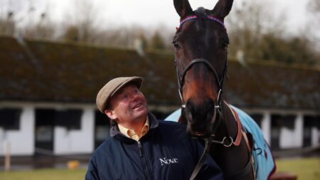 Nicky Henderson steps in to foot all bills for Sprinter Sacre recovery after legendary racehorse suffers injury