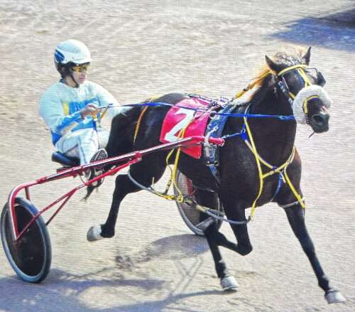 Rookie Liam Stones savours more success at Vesey Street – The Royal Gazette Rookie Liam Stones savours more success at Vesey Street – The Royal Gazette