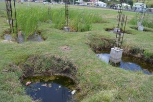 The community continues to suffer: MP Simon says neglect of Bolans playing field deflating young athletes and supporters