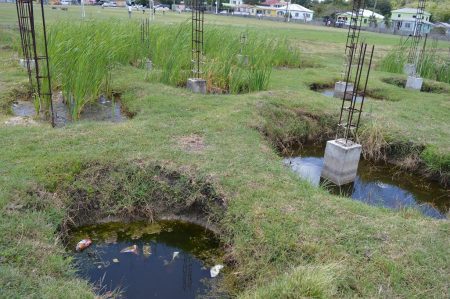 The community continues to suffer: MP Simon says neglect of Bolans playing field deflating young athletes and supporters The community continues to suffer: MP Simon says neglect of Bolans playing field deflating young athletes and supporters