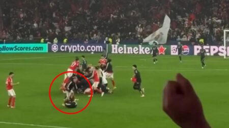 Watch awkward moment Benfica coach slips and leaves player writhing in agony during wild celebrations