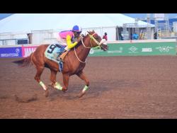 Zulu Warrior runs away with Security Department Trophy | Sports