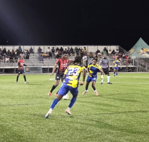 Brittons Hill hand Paradise first loss