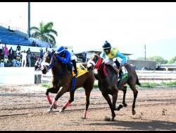 Champion Bubbler in perfect position to pounce on George HoSang Trophy field | Sports