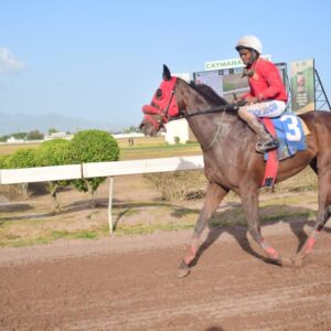 Most-improved Don Kwesi, Wall Street Trader to go shoe for shoe | Sports