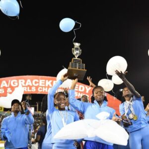 AND THE BLUES HAVE IT