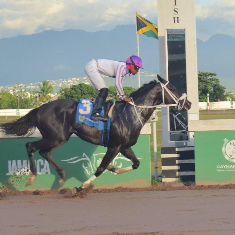 American Aviator to go all the way on Sunday | Sports American Aviator to go all the way on Sunday | Sports