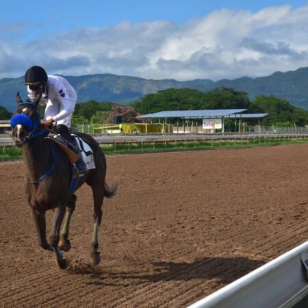 Don Kwesi to battle top weight, Neo Star | Sports