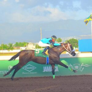 Florindia new barn provides ominous second wind | Sports