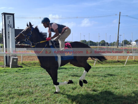 Grand Stand sold out for Gold Cup