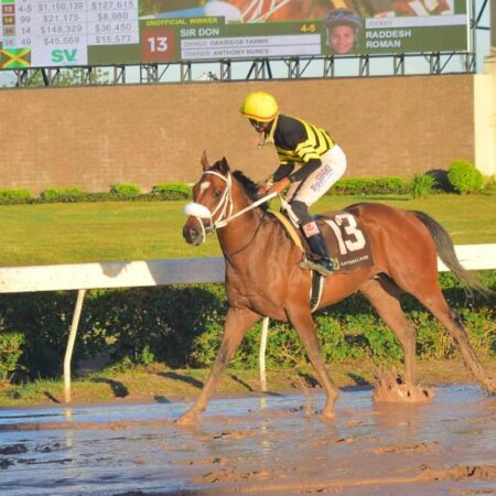 Impressive win by Sir Don