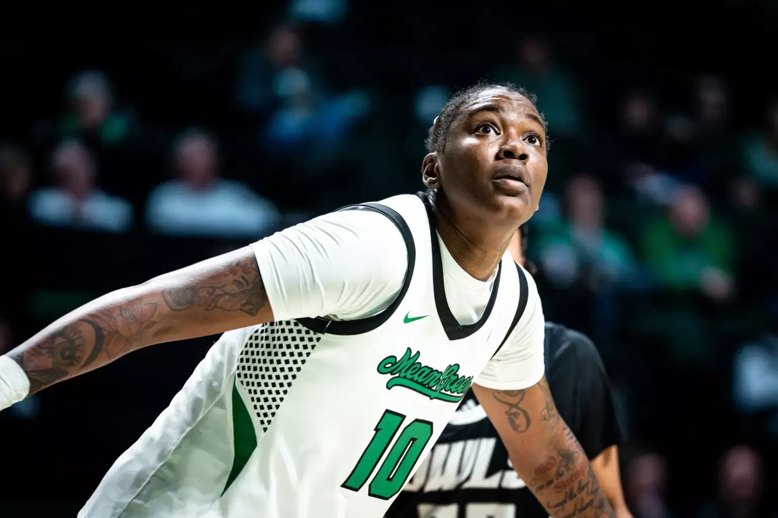 Nestor dominates after postseason accolades