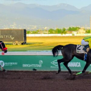 Nunes goes on an International Women’s Day rampage | Sports