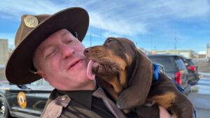 Onondaga County deputies use helicopter, drone to rescue two men, dog