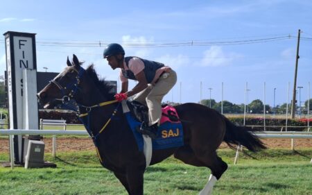 Patrick Husbands pulls out of Gold Cup
