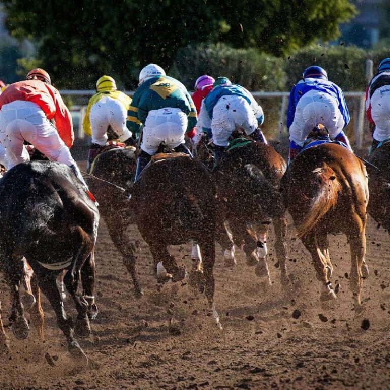 Salute The Don, Taylor Made the favourites for Saturday’s features | Sports