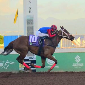 She’s That Girl for ‘Slicer’ Simpson Trophy | Sports