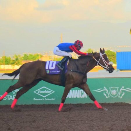 Suckoo ends good weekend with win in Walker feature | Sports