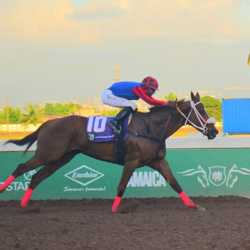 Suckoo ends good weekend with win in Walker feature | Sports Suckoo ends good weekend with win in Walker feature | Sports