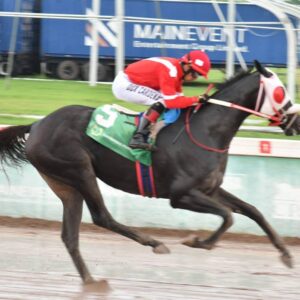 Supernatural Power the favourite over shorter Alexander Memorial | Sports