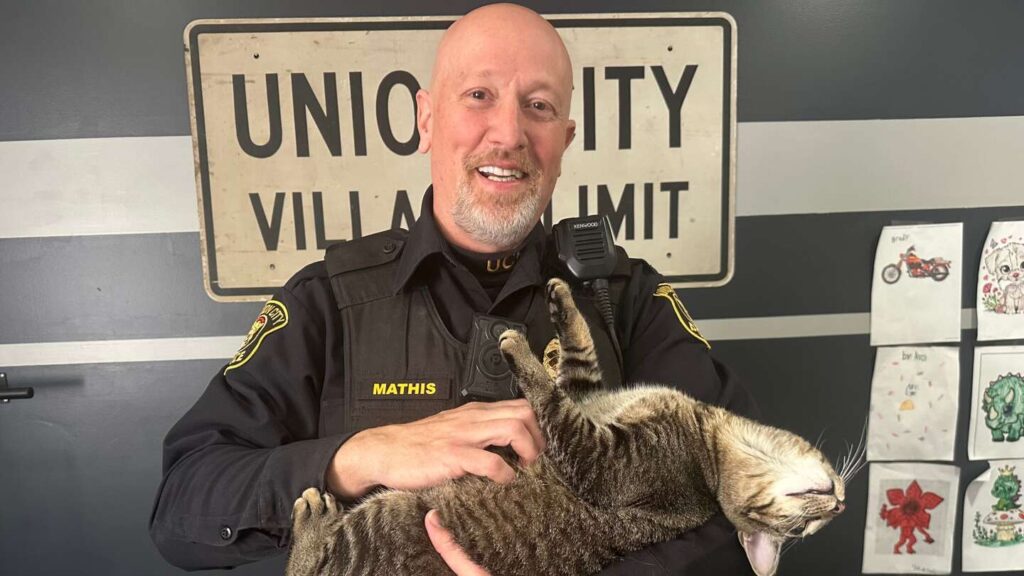 Union City Police cats comfort residents after deadly tornado Union City Police cats comfort residents after deadly tornado