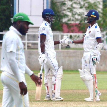 Brathwaite, Wickham centuries pile misery on Scorpions | Sports