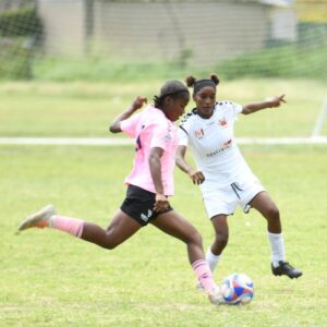 Frazsiers Whip slam Federal for six | Sports