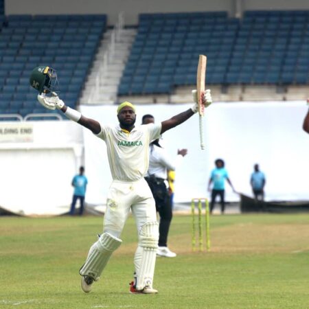 McKenzie’s second ton on the trot lifts Scorpions | Sports