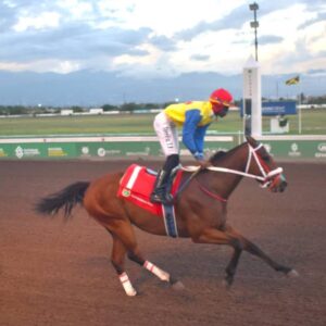 Mighty Gully finally gets fair shake at overnight allowance | Sports