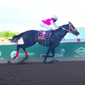 Rideallday shows classic pedigree in Ian Levy Cup | Sports