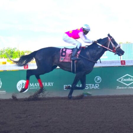 Rideallday shows classic pedigree in Ian Levy Cup | Sports