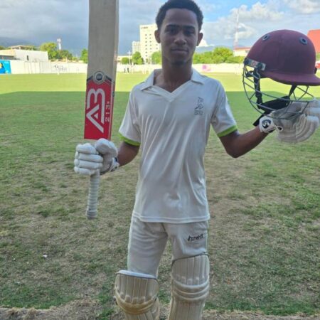 STETHS batting clinic highlights Spaulding Cup opening day | Sports