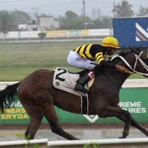 Sir Don back to winning ways with St Cecelia run | Sports