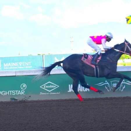 Stars continue to align for newbies Cassiopeia Racing | Sports