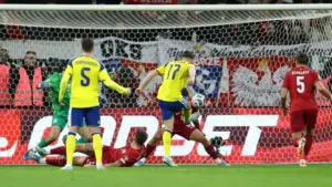 Sweden book World Cup berth