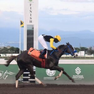 We Jammin grinds Prince Consort Stakes field into the ground | Sports